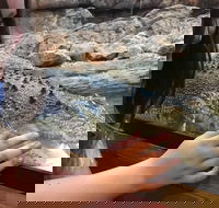 Canberra Reptile Zoo - Accommodation Perth