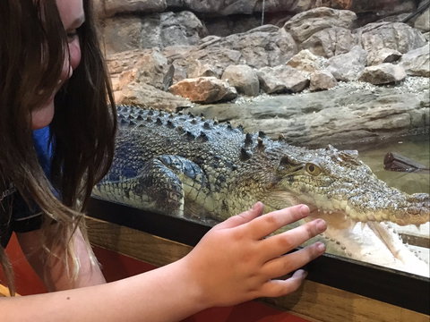 Canberra Reptile Zoo - Perth Resorts 0