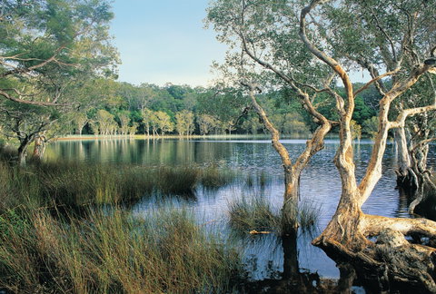 Cooloola, Great Sandy National Park - Accommodation Perth 1