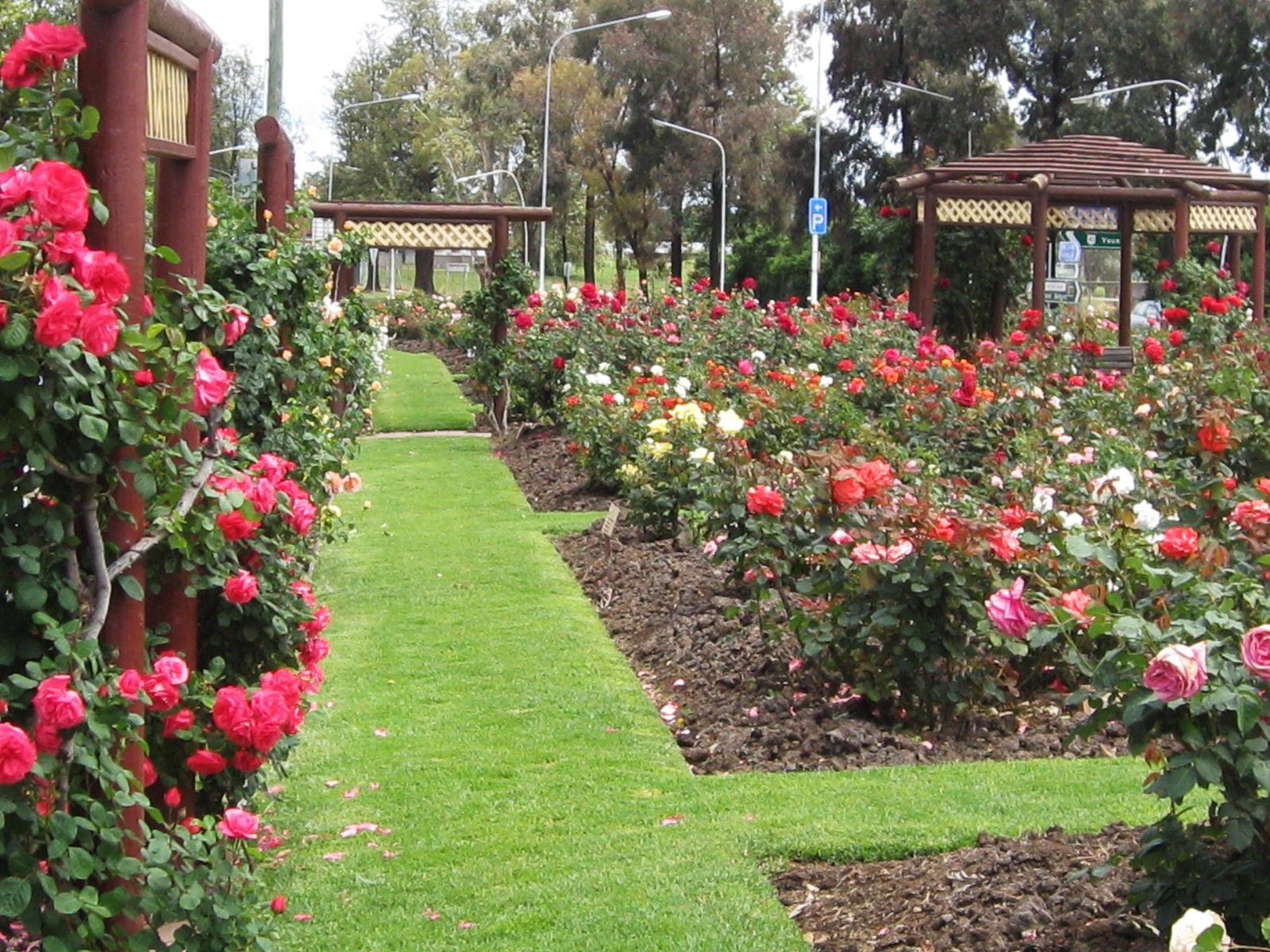 Wattamondara NSW Accommodation Perth