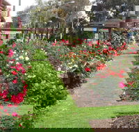 Cowra Rose Garden - Accommodation Perth