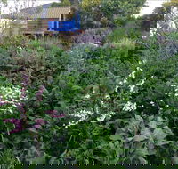 Down to Earth Permaculture - Accommodation Perth