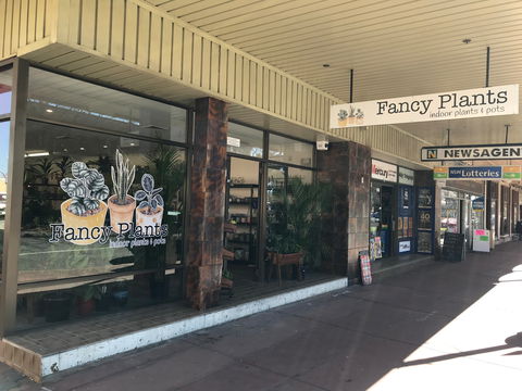 Fancy Plants - Perth Resorts 1