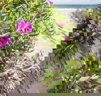 Fort Bribie - Accommodation Perth
