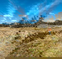 Goldseekers track - Accommodation Perth