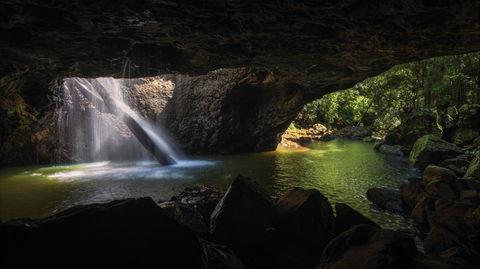 Gondwana Rainforests Of Australia World Heritage Area - Accommodation Perth 0