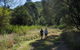 Goolman Lookout Via Rocky Knoll Lookout Trail - thumb 2