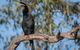 Greenough River Nature Trail - thumb 0