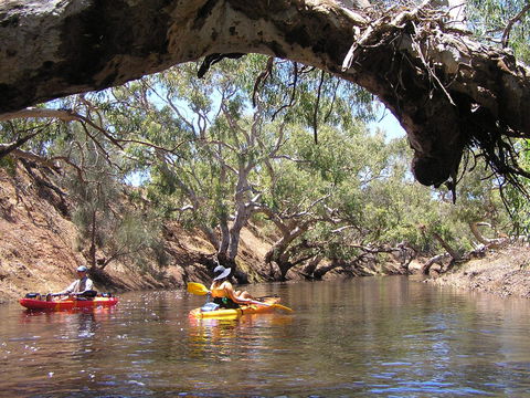 Greenough River Nature Trail - Accommodation Perth 1