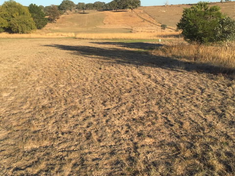 Gunning Golf Club - Accommodation Perth 0