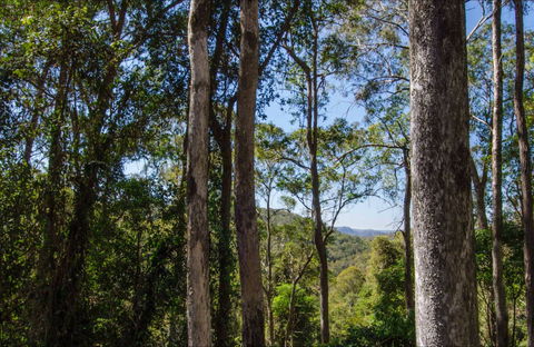Hidden Treasure Picnic Area - Accommodation Perth 0