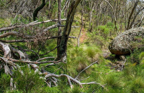 Hopetoun Falls Walking Track - Accommodation Perth 0