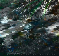 Howard Springs Nature Park - Accommodation Perth