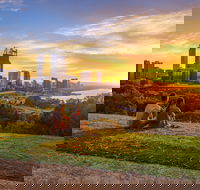 Kings Park and Botanic Garden - Accommodation Perth