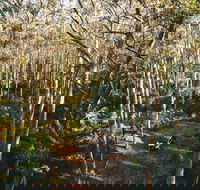 Leeuwin-Naturaliste National Park - Cowaramup - Accommodation Perth