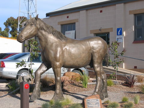 Maitland - Accommodation Perth 0