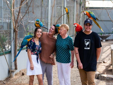 Maleny Botanic Gardens And Bird World - Accommodation Perth 0