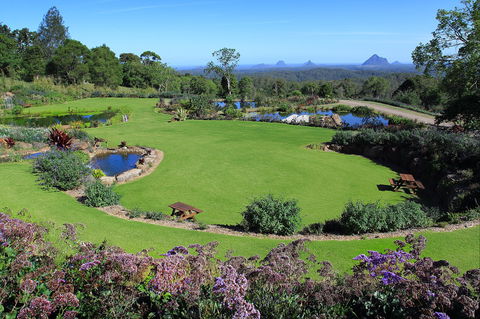 Maleny Botanic Gardens And Bird World - Accommodation Perth 2