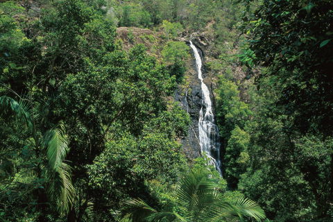 Mapleton Falls National Park - Accommodation Perth 0