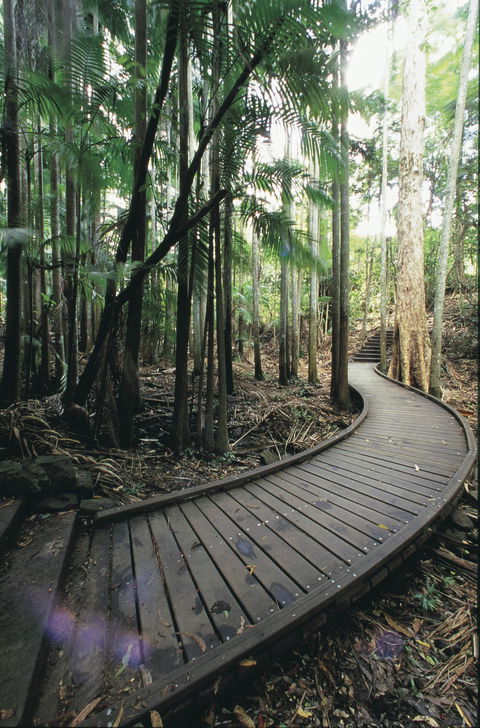 Mapleton Falls National Park - Accommodation Perth 1