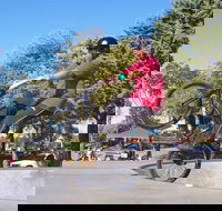 Millicent Skatepark - Perth Resorts