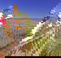 Moogerah Peaks National Park - Perth Resorts