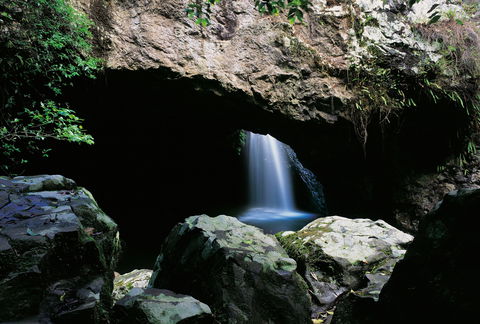 Natural Bridge Circuit, Springbrook National Park - Accommodation Perth 0