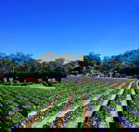 Palmview - Accommodation Perth
