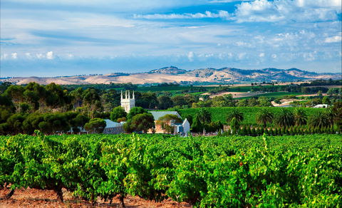 Seppeltsfield Road Barossa Valley - Accommodation Perth 1