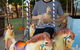 Swan Valley Cuddly Animal Farm - thumb 2