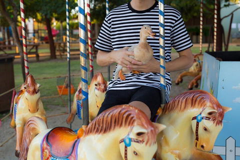 Swan Valley Cuddly Animal Farm - Accommodation Perth 2