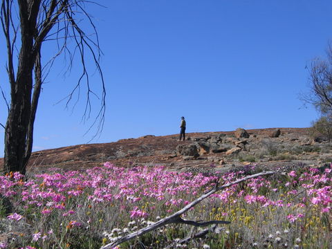 Talgomine Reserve - Accommodation Perth 0