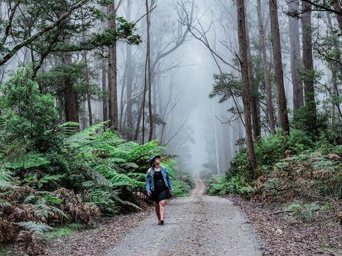 The Corn Trail Walking Track - Accommodation Perth 0