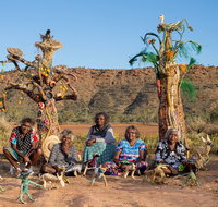 Tjanpi Desert Weavers - Accommodation Perth