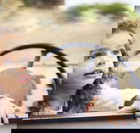 Toddler Thursdays at Werribee Open Range Zoo - Perth Resorts