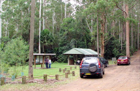Wallingat Forest Drive - Accommodation Perth 0