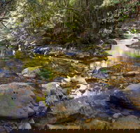Washpool Walking Track - Accommodation Perth