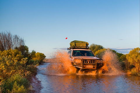 Witjira National Park - Accommodation Perth 1