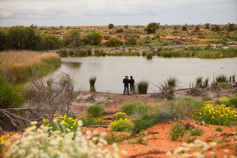 Witjira National Park - Accommodation Perth 2