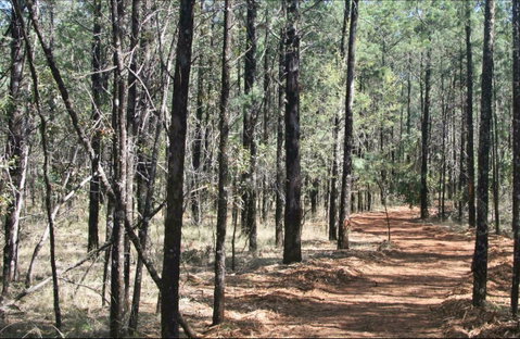 Yana-y Warruwi Walking Track - Perth Resorts 0