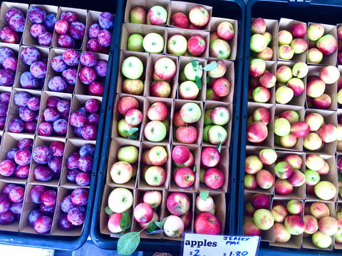 Adelaide Showground Farmers' Market - Accommodation Perth 0