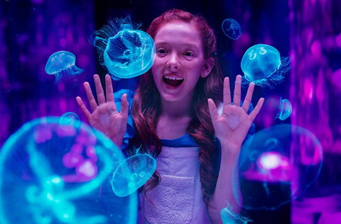 Australia's Sea World - Perth Resorts 0