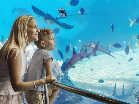 Australia's Sea World - Perth Resorts 2