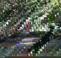 Barra Feeding - Accommodation Perth