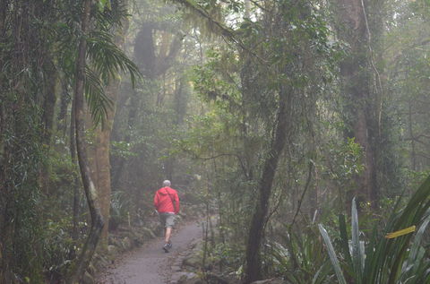 Best Of All Lookout Track, Springbrook National Park - Accommodation Perth 1