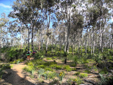 Bibbulmun Track - Accommodation Perth 1