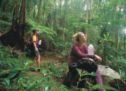 Binna Burra, Lamington National Park - Accommodation Perth 0