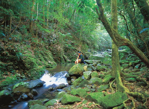 Binna Burra, Lamington National Park - Accommodation Perth 2
