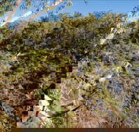 Boonoo Boonoo Falls picnic area - Accommodation Perth