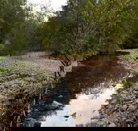 Budawang National Park - Accommodation Perth